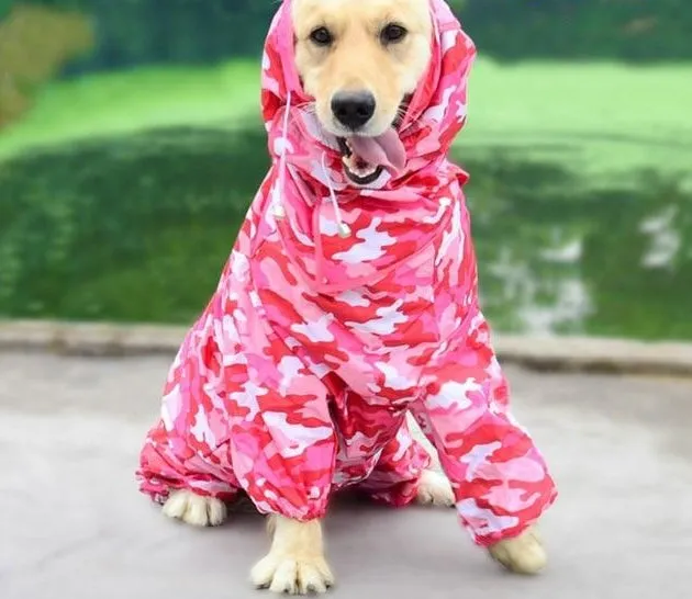 Dog Raincoat